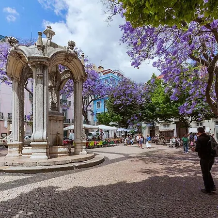 Chiado Spacious And Luxurious By Courtesy Morning *